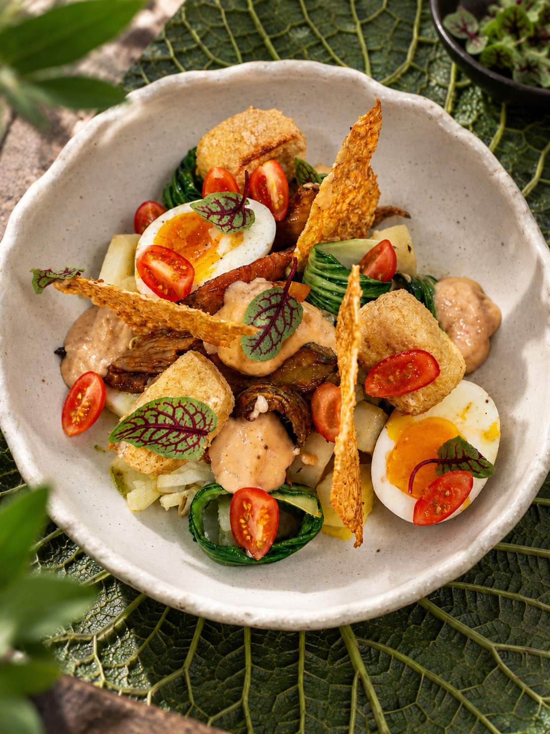A composed plate at Orama: soft eggs, tomatoes, greens and crisp golden pieces