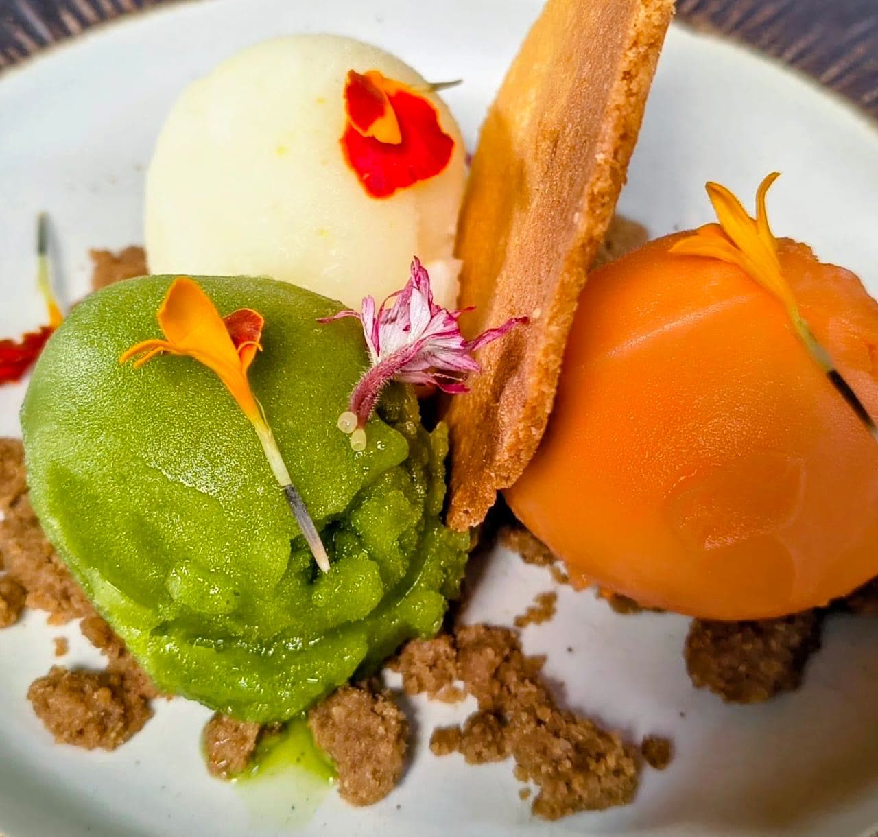 Three scoops of Orama ice cream and sorbet with a tuile